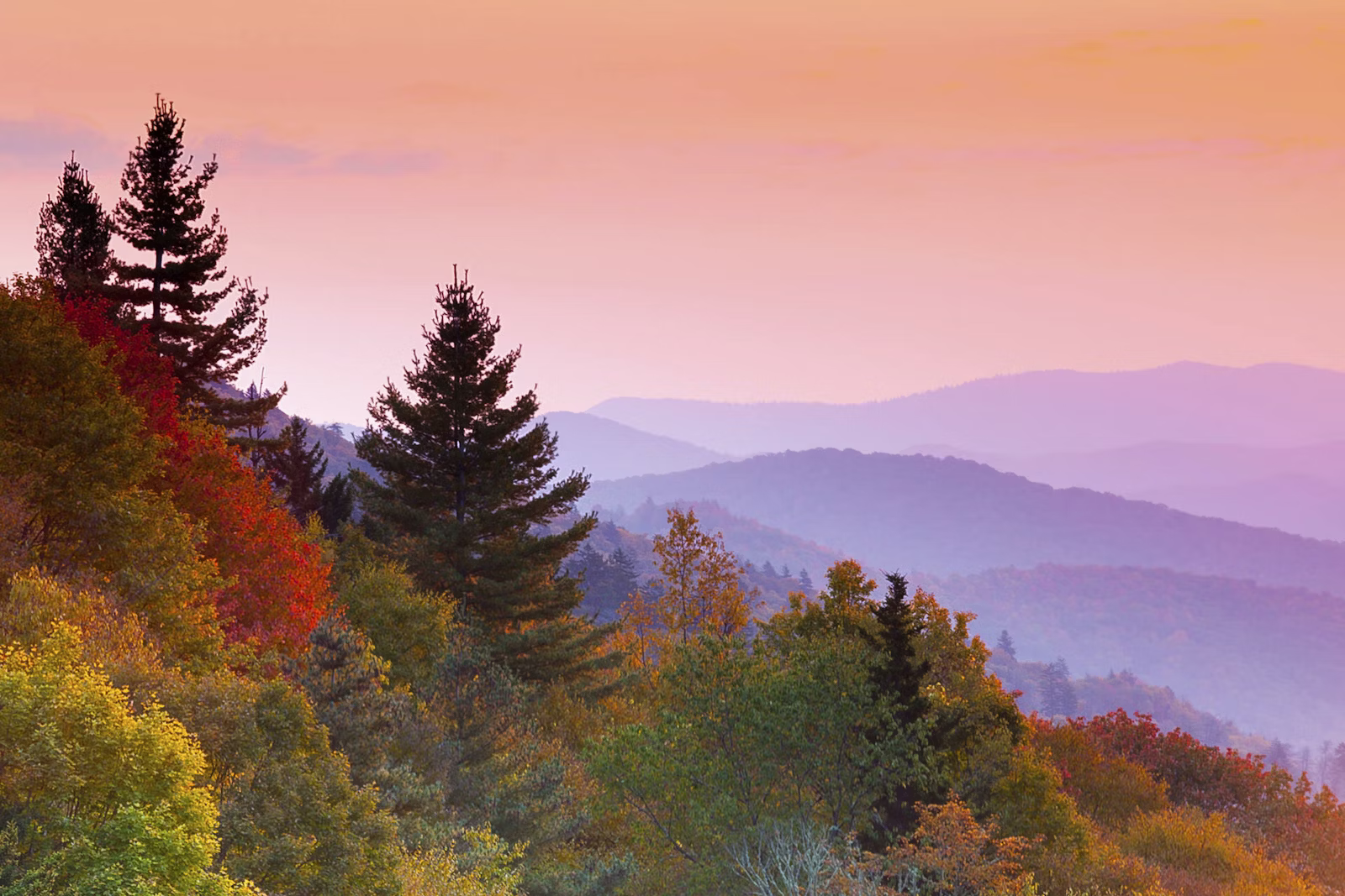 Autumn hills and trees at sunset under a pink and orange sky.