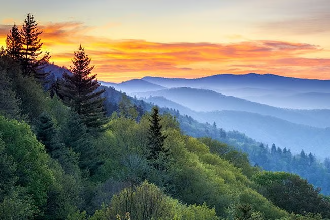 Sunset over mountains with green forests.